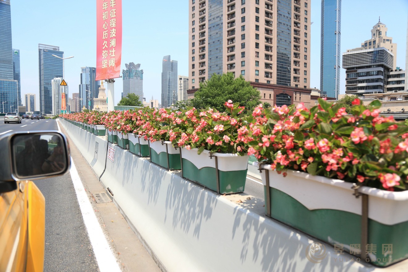 上海徐汇区高架置顶式PP花盆
